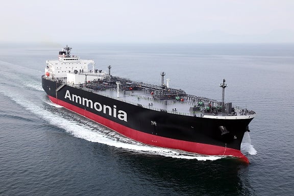 Eastern consortium fascinated by funding in green ammonia venture in India