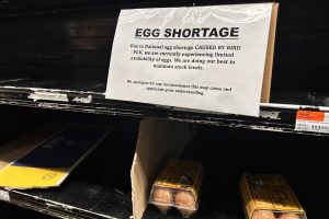 Trump’s Belief to Repair Egg Ticket Crisis Is Already Falling Aside