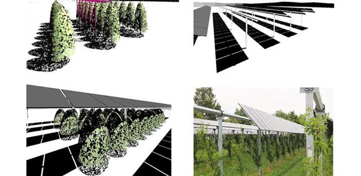 Horizontal single-axis trackers key to minimize agricultural yield losses in agrivoltaics