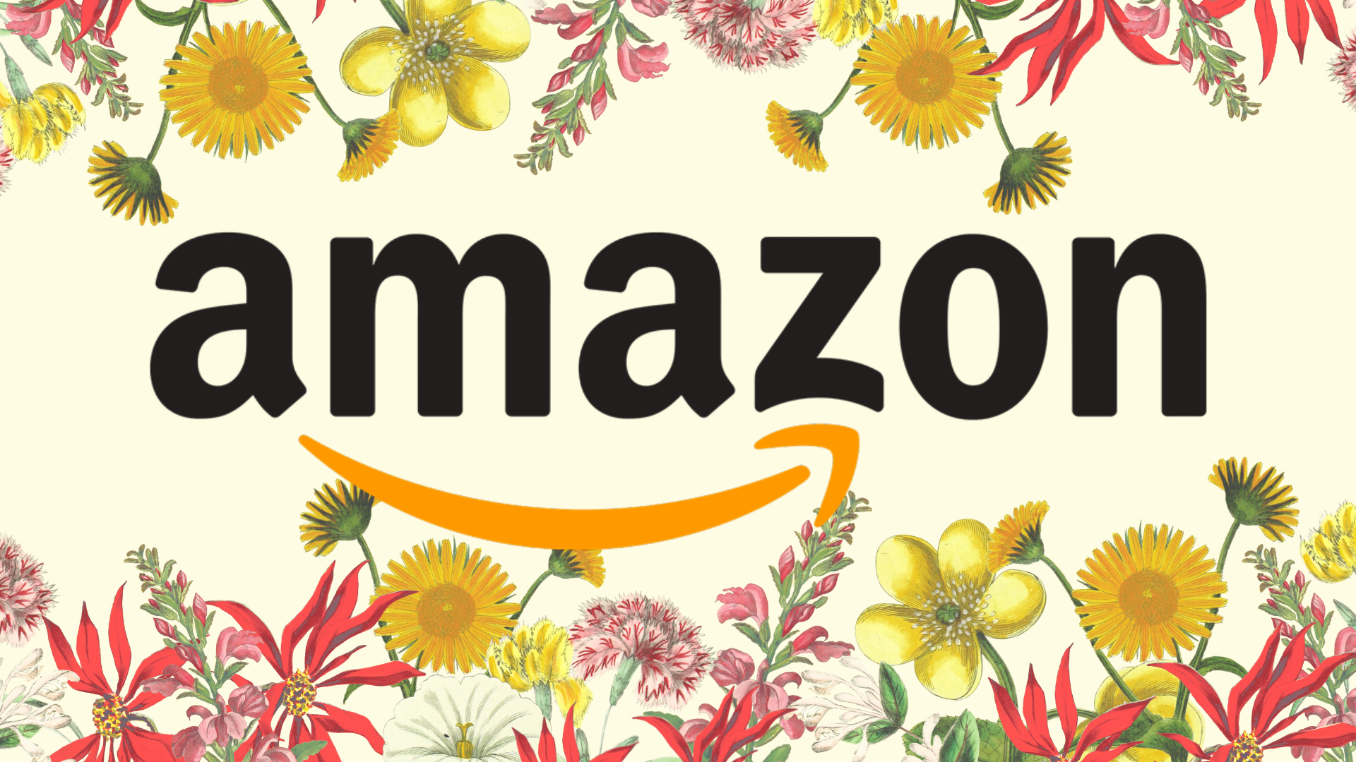 Amazon Spring Sale 2025: Final likelihood to attach on laptops, USB drives, SSDs, and more