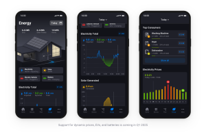 Homey perfect house hubs map vitality monitoring functions