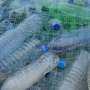 Starch-basically basically based microplastics linked to health concerns in mouse investigate cross-test
