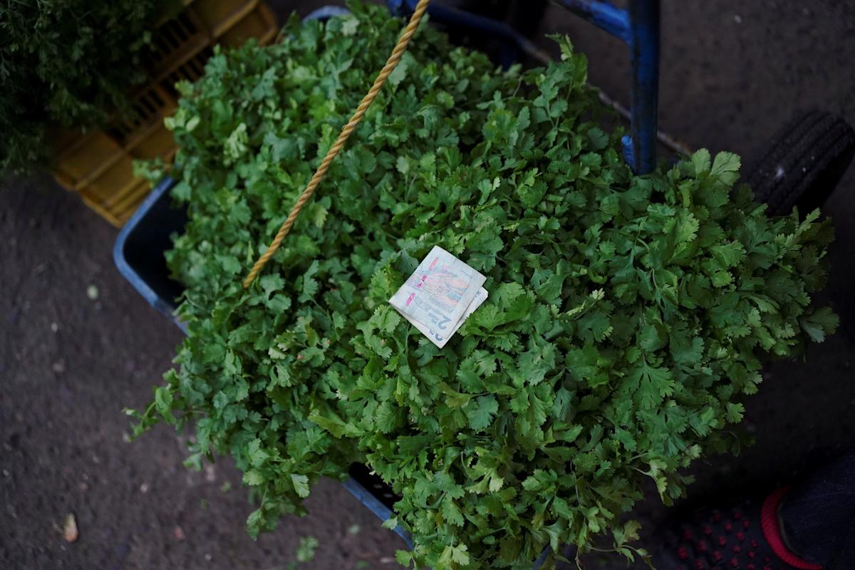 USDA concerns public health alert for soups and bowls with cilantro that will maybe maybe have wooden