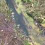 Microplastics: What’s trapping the emerging probability in our streams?