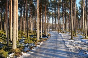 How did Finland lead the pursuit of a circular economy? Mongabay podcast explores