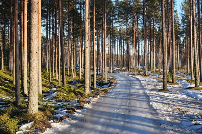 How did Finland lead the pursuit of a circular economy? Mongabay podcast explores