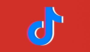 TikTok touts livestreaming as next gargantuan income circulation for creators and companies