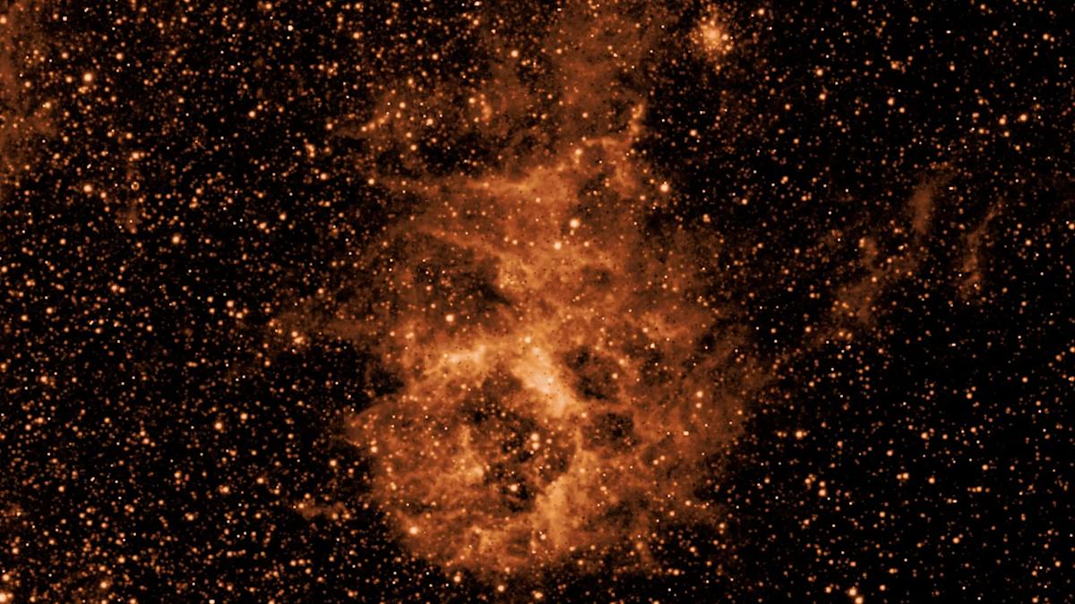 NASA’s SPHEREx house telescope has begun its mission to method your whole sky in 3D