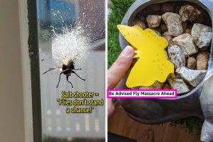 20 Self-discipline-Fixing Products For Properties That Obtain A Lot Of Surprising Web state online visitors (AKA Bugs)