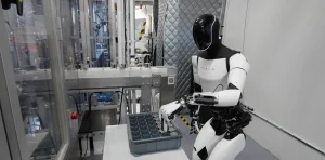 Tesla’s humanoid robots don’t seem just like the correct match for factories, says frail Optimus lead