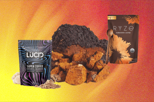 Mushroom Dietary supplements Are the Biohackers’ Latest Fix (2025)