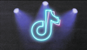 TikTok insists to advertisers that it’s a paunchy-funnel platform, no longer factual an entertainment app