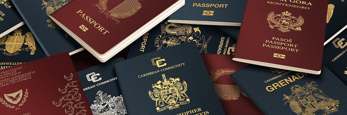 UK’s error-inclined eVisa system is ‘terror-inducing’