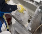 Meals additive titanium dioxide doubtless has extra toxic outcomes than thought, test finds