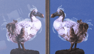 Meta’s AI advert opinion raises stakes – even though ingenious pros are shrugging it off