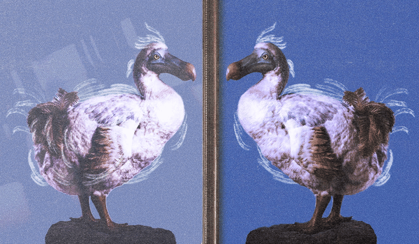 Meta’s AI advert opinion raises stakes – even though ingenious pros are shrugging it off
