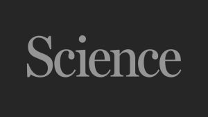 Bridging the divide: Why the science-coverage interface matters for world food programs | Science