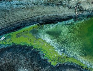 Global nitrogen budget revisited | Science