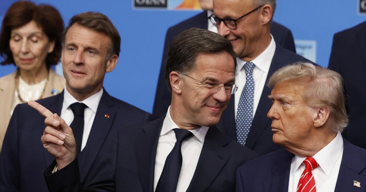 Trump affords reduction to NATO allies: ‘We’re with them the entire method’