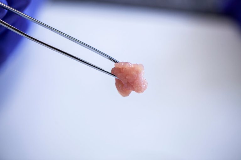 AI and digital twins energy cultivated meat R&D