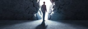 Citrix Bleed 2 under stuffed with life attack, reviews counsel