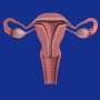 Gut micro organism and amino acid imbalance linked to greater miscarriage be troubled in females with PCOS