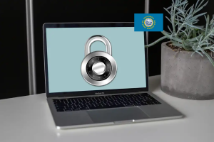 Most attention-grabbing VPN for South Dakota: Pornhub workarounds