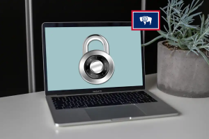 Absolute top VPN for Wyoming: Pornhub workarounds