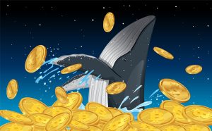 Bitcoin price $8.6 billion moved for the first time since 2011, bought for factual $210K