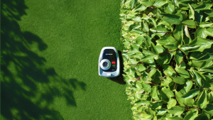 Top Day is the prime time to fetch a Segway Navimow i Sequence robotic lawnmower – primarily the most straight forward Navimow deal to this level