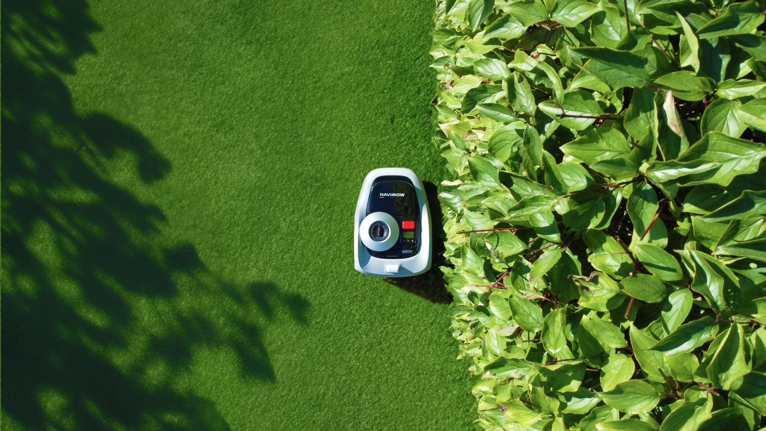 Top Day is the prime time to fetch a Segway Navimow i Sequence robotic lawnmower – primarily the most straight forward Navimow deal to this level
