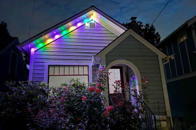 I effect up these vacation lights closing one year—they every now and then’re no longer coming down