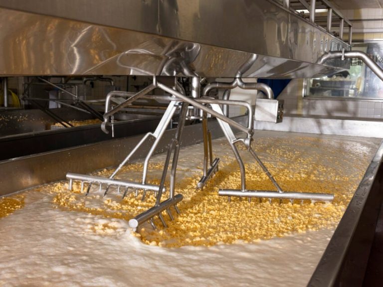 The United States’s protein obsession is remodeling the dairy enterprise
