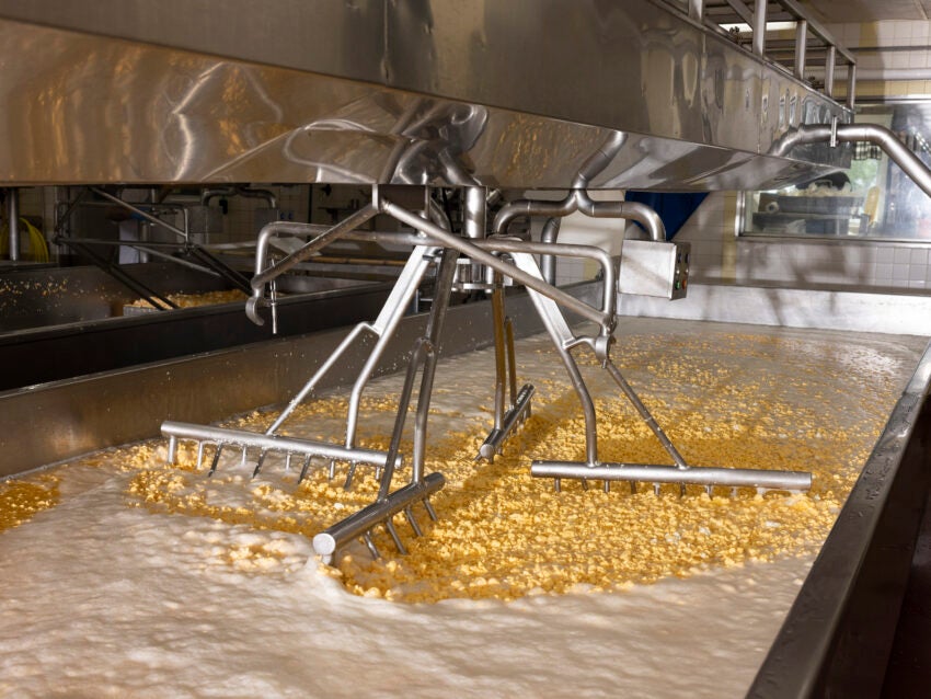 The United States’s protein obsession is remodeling the dairy enterprise