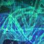 Infants born with DNA from three other folks hailed to boot-known, but questions remain