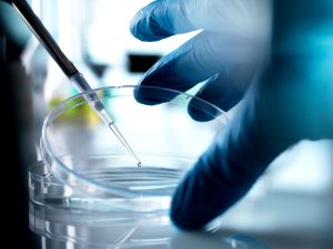 Florida Is Now a Haven for Unproven Stem-Cell Therapies