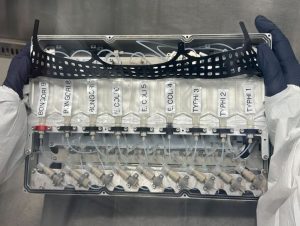 NASA’s most modern mission to the ISS aspects a bacterial experiment