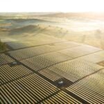 Australia: Orderly vitality subsidies desires to get replaced with market-essentially based incentives from 2030