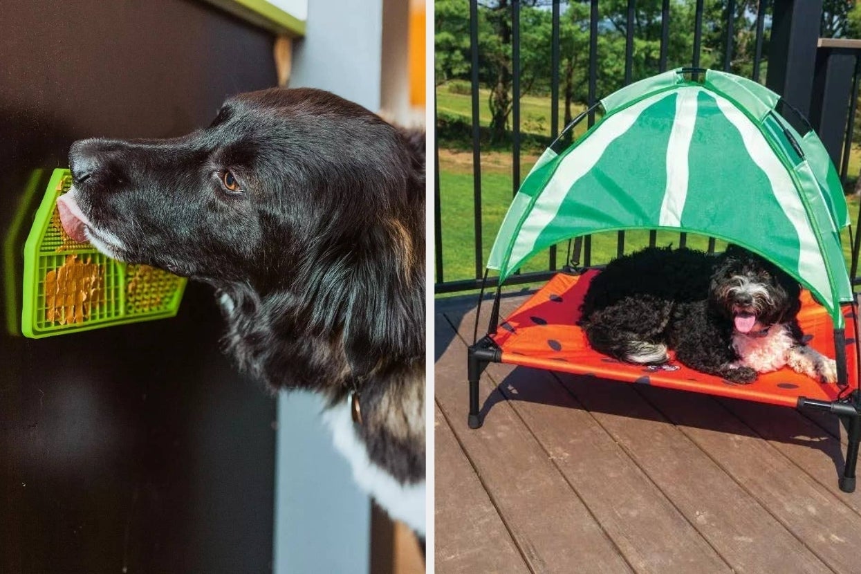 If Treating Your Dogs Makes You Happy, Then You’ll Prefer To Depend on At These 25 Target Products