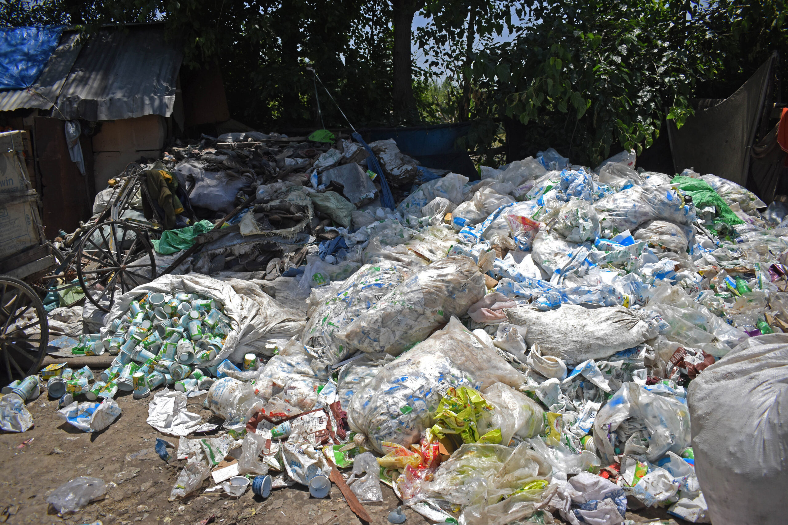 COP30 host Brazil drops toughen for plastic products ban in current world pact