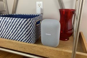 Gemini is coming to Google’s dapper speakers and shows this tumble