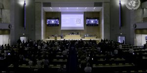 Plastics air pollution summit ends with out a treaty on production caps, poisonous chemical substances