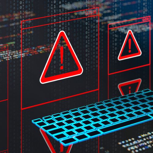 Senator castigates federal judiciary for ignoring “popular cybersecurity”