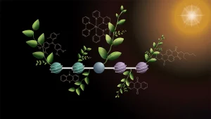 Scientists discovered a brand recent capability to flip sunlight hours into gasoline