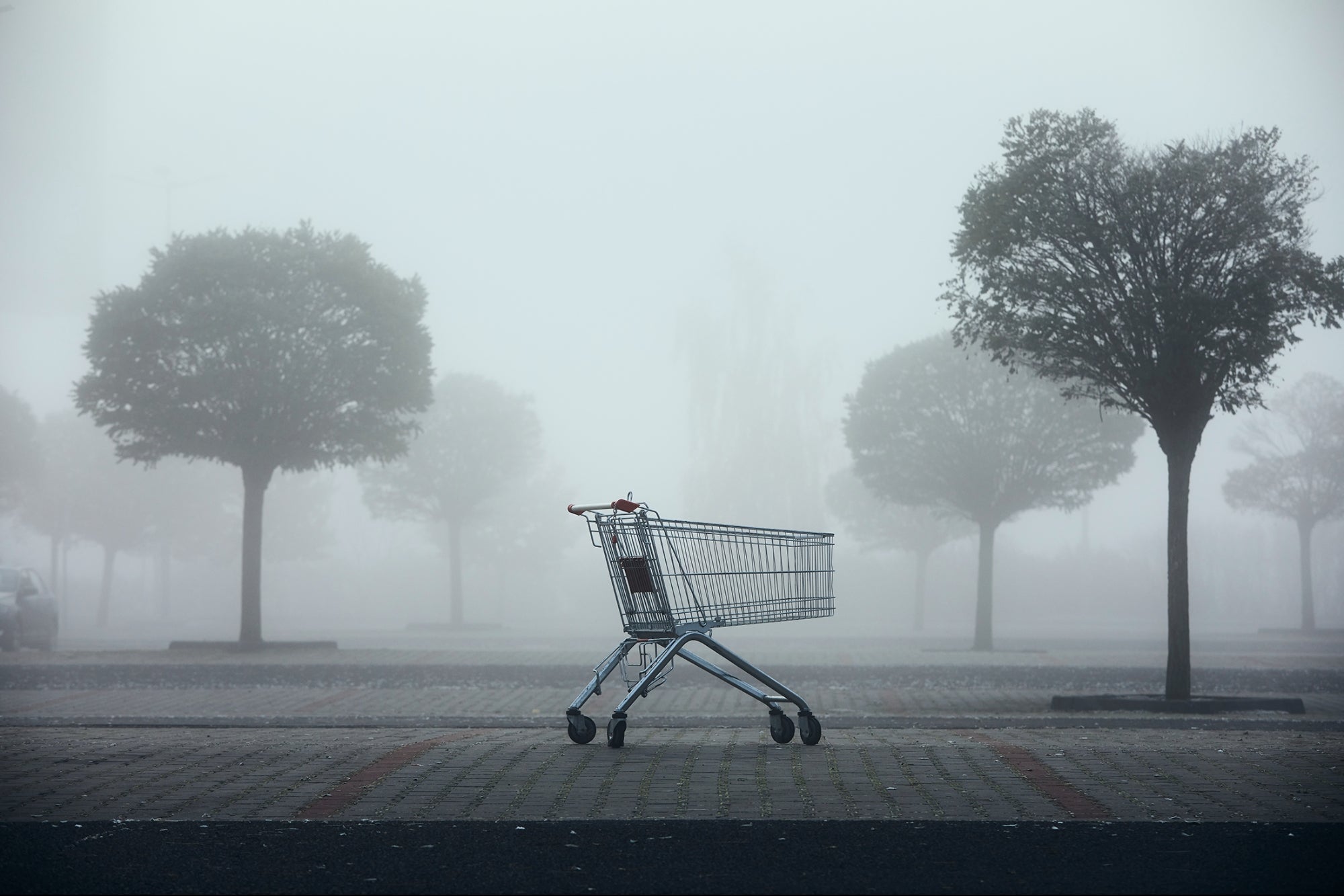 Why Produce Customers Direct Sure to Making an try for — However Produce no longer Apply Thru? Stare the Hidden Causes Slack Misplaced Gross sales