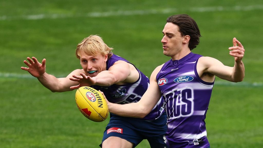 AFL Finals 2025 are living movement: the kind to search every sport for FREE, schedule, kick-off times