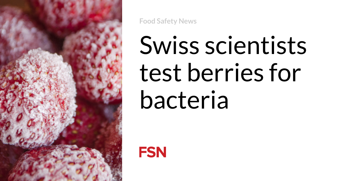 Swiss scientists test berries for bacteria