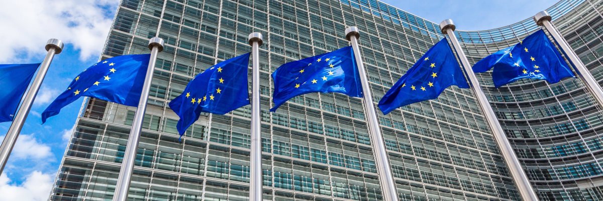 EU Files Act comes into power amid fears of law fatigue