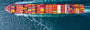 How AI can help to optimise provide chains under stress