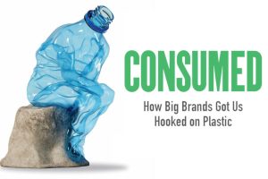 Consumed by convenience: The custom of disposability